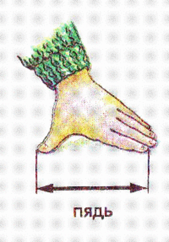 пядь