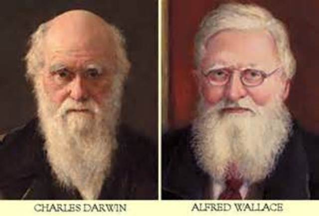 Darwin y Wallace