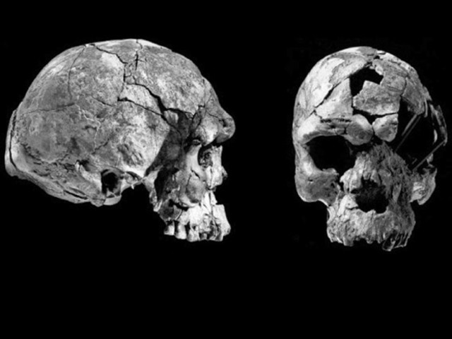 El Origen de los Homo Sapiens