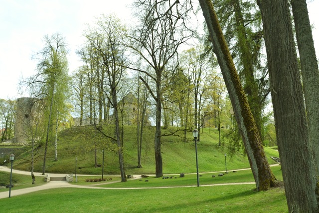 Muistse vabadusvõitluse I periood (2)