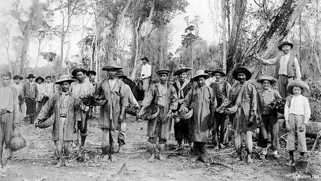 Translado del campo a las ciudades