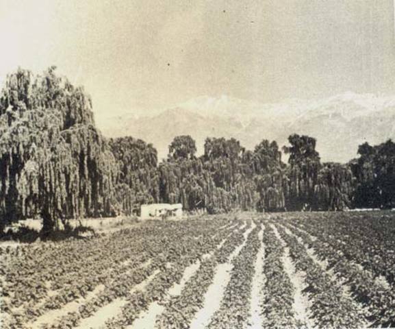 Liberalismo en America Latina