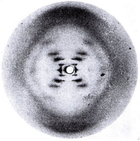 La Estructura de la Vida