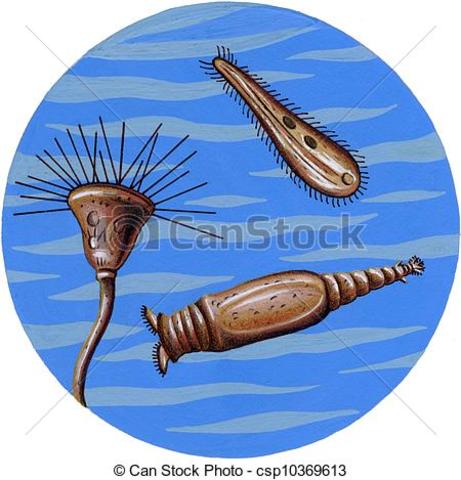 Leeuwenhoek:  descubrimiento de los microbios en el agua