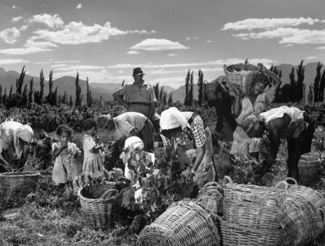 Black Labor Relations Regulations Act