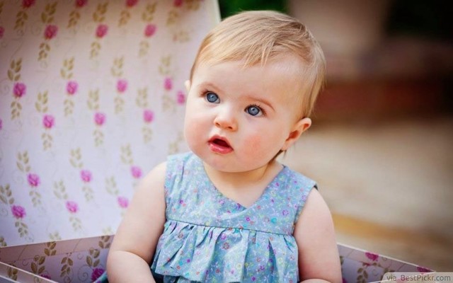 Layla Trust vs Mistrust