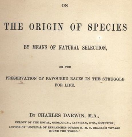 Darwin's Theory of Natural Selection