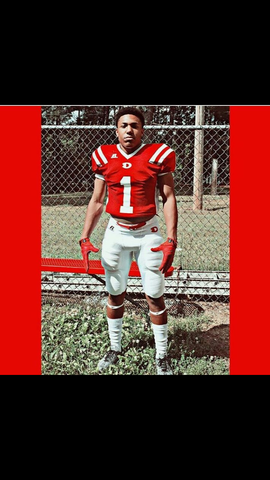 Go Dalton catamounts