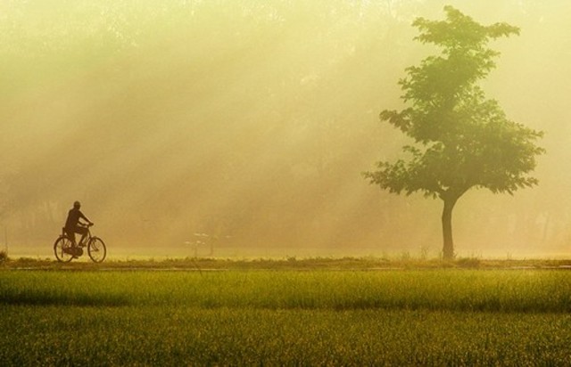 Photograph Invention