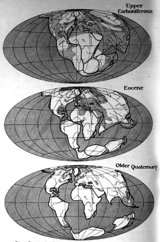 First Clue For Hypothesis