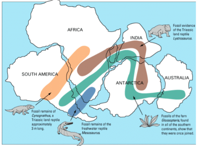The Origin of the Continents and Oceans