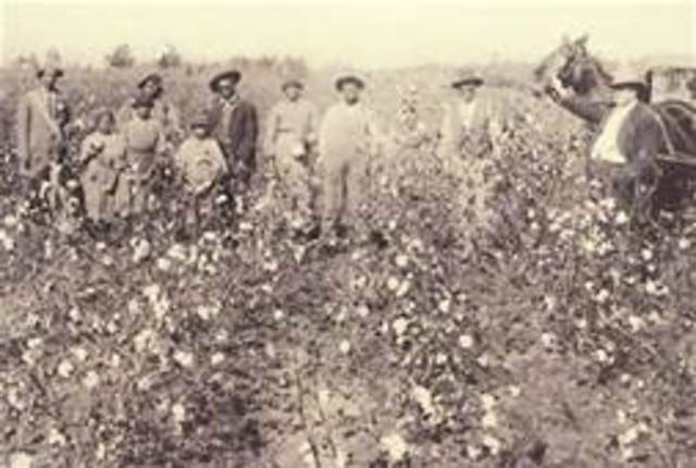 Sharecropping