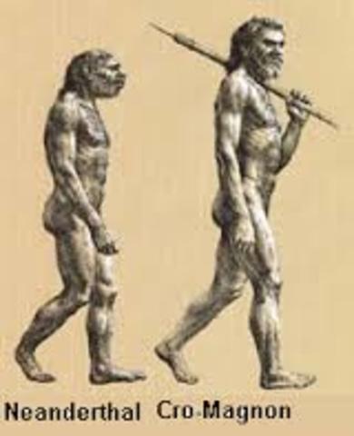 Homo de Cro-Magnon