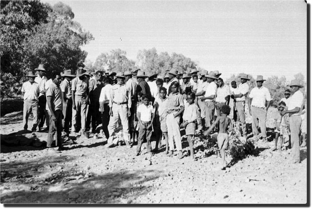 Walk-off at Wave Hill (Gurindji strike)