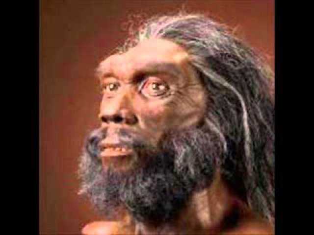 HOMO HEIDELBERGUENSIS (Hace 500.000 años)