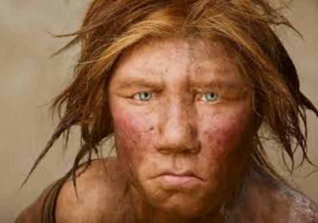Homo Neanderthalensis