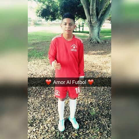 Soccer Team Professional