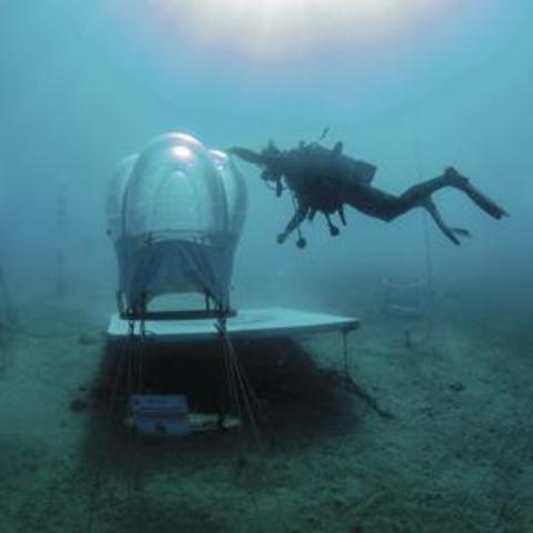 invernaderos marinos