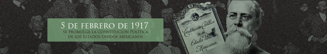 Constitución Política de los Estados Unidos Mexicanos (febrero 5, 1917).