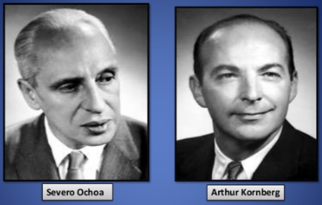 Premio Nobel de Medicina Severo Ochoa y Arthur Kornberg.