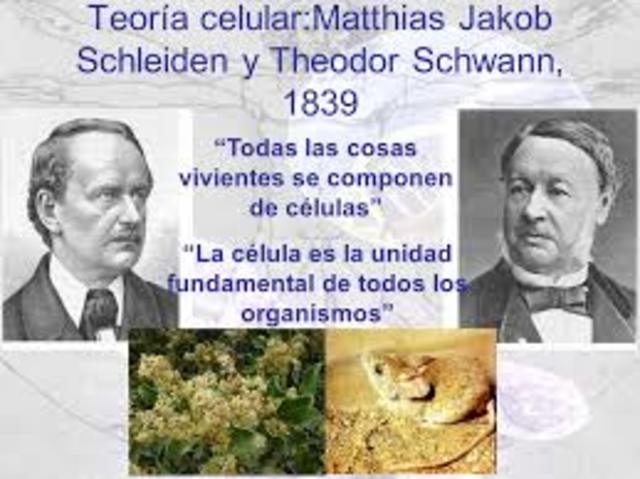 shleiden y Schwann