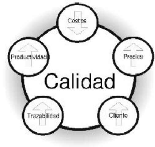 Cuarta etapa - Mejora continua de la calidad total