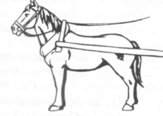 Harness for horse's