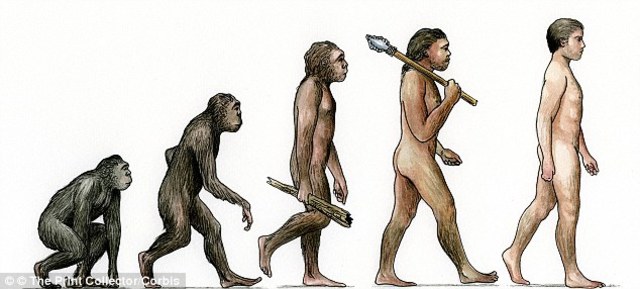 Theory of evolutionism.