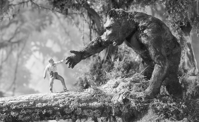 The History of Motion Pictures