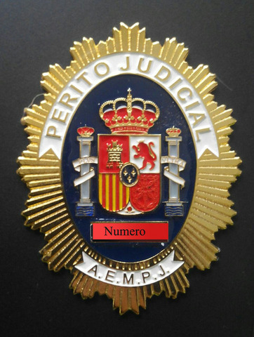 Creacion de servicio de identificación judicial