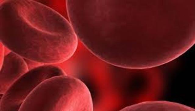 Hematologia forense y medicina legal