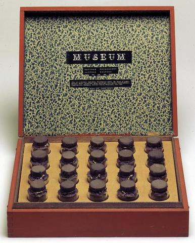 Joseph Cornell - Museum