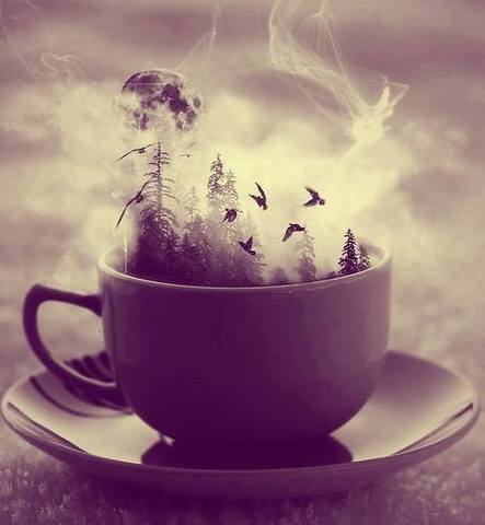 Detalles de mas cosas que pasaron durante el primer evento