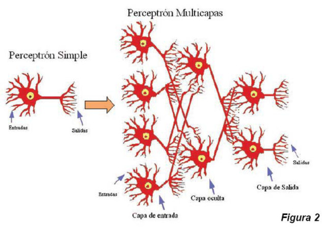 Red tipo Perceptrón