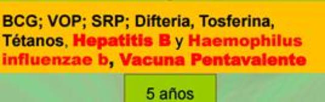 Incorporación de la vacuna pentavalente