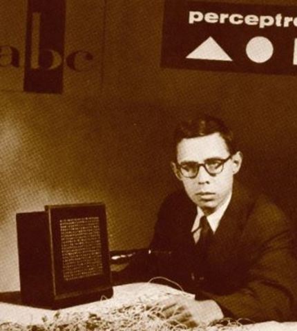 Introduce el Perceptrón.