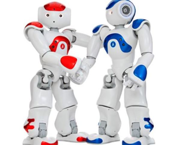 Robot NAO