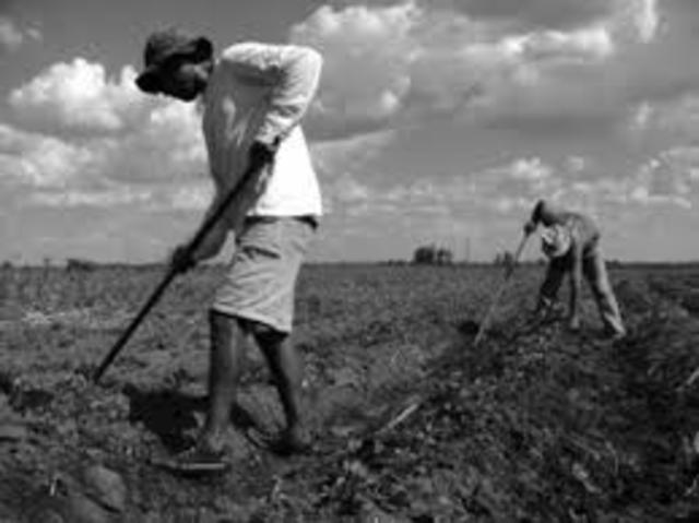 Primer sindicato rural