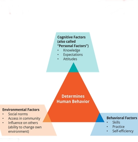 "Social Learning Theory"