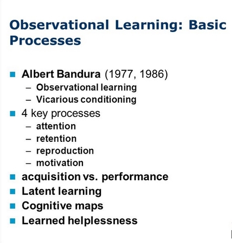 “Vicarious Processes: A case of non-trial learning”