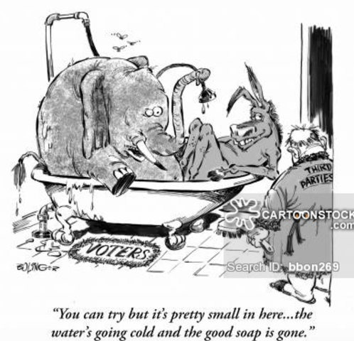 Third Parties Politics