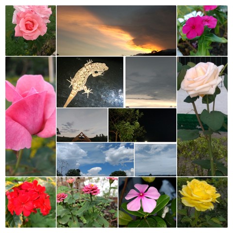 I  Learning To Love The Photography