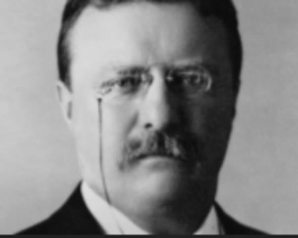 Theodore Roosevelt