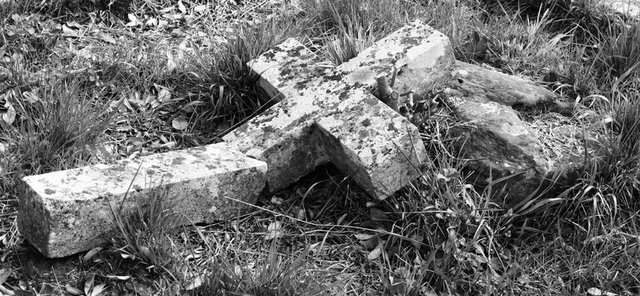 The Estrangement of the Eucharist