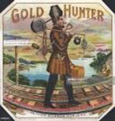 The Californian Gold Rush