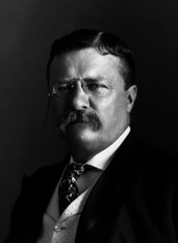 Theodore Roosevelt
