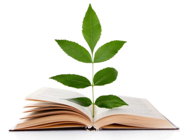 The Santa Lucia Campus