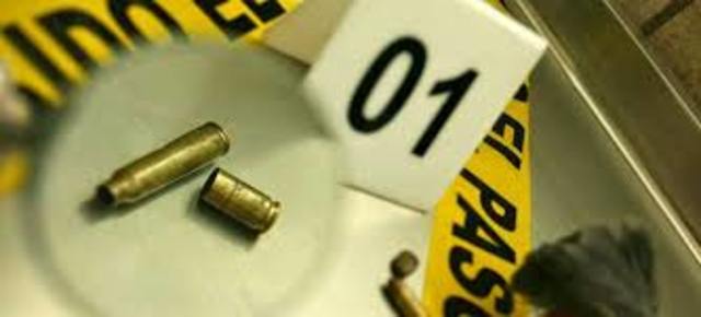 ORGANIGRAMA DEL IMELCF