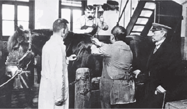 Emil Adolf y Shibasaburo kitasato