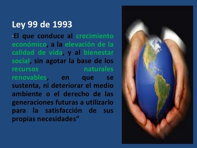 LEY 99 DEL 1993